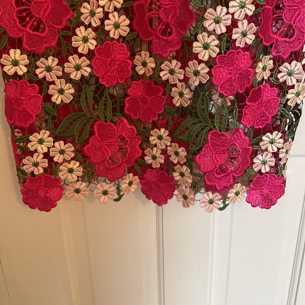 XScape lace floral dress.  Size 12 - Picture 3 of 10